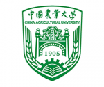 圖層 5