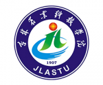 圖層 4