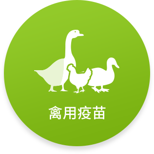 禽