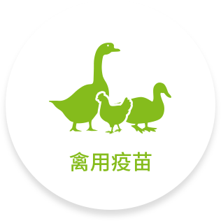 禽-hover