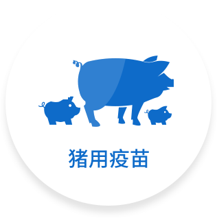 zhuzhu