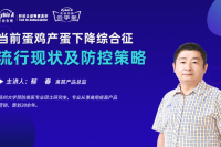 當前蛋雞產蛋下降綜合征流行現狀及防控策略