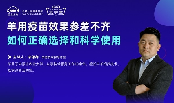 羊用疫苗效果參差不齊-辛保林海報(bào)