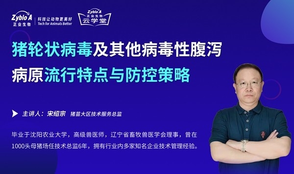 宋紹宗