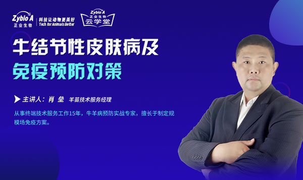 肖磊海報(bào)