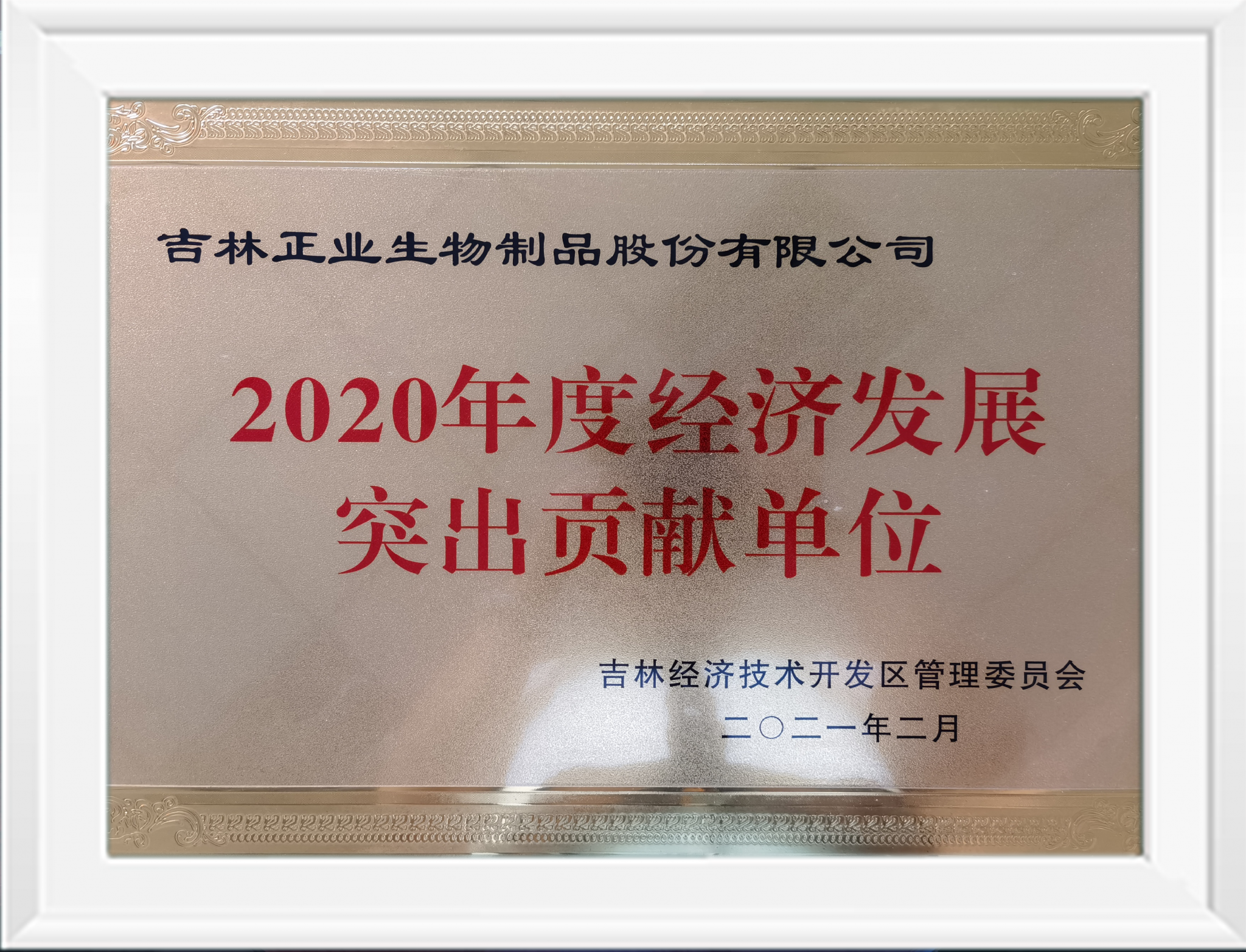 2020年經(jīng)濟(jì)突出貢獻(xiàn)獎(jiǎng)