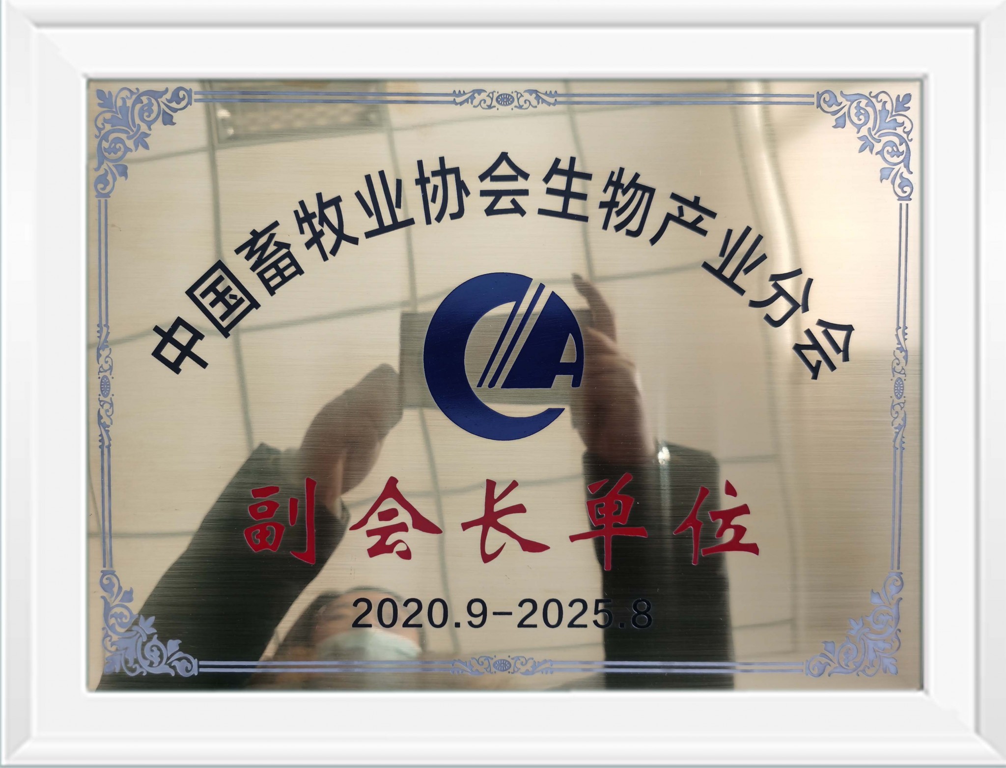 副會長