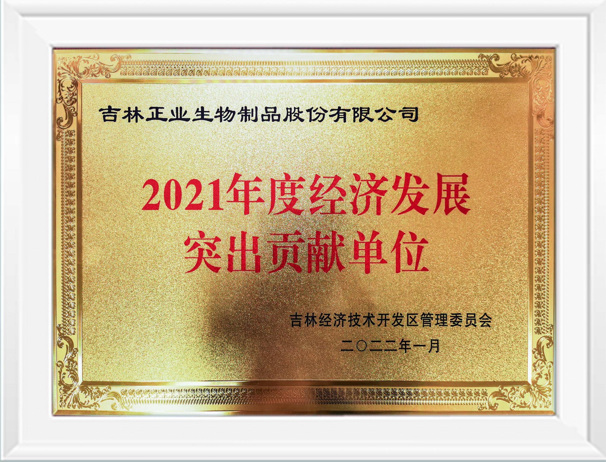 2021經(jīng)濟(jì)突出貢獻(xiàn)