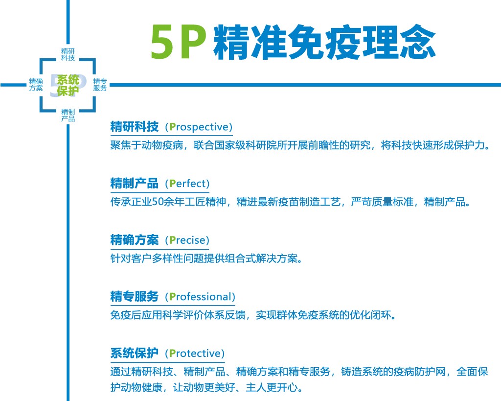 5p-改