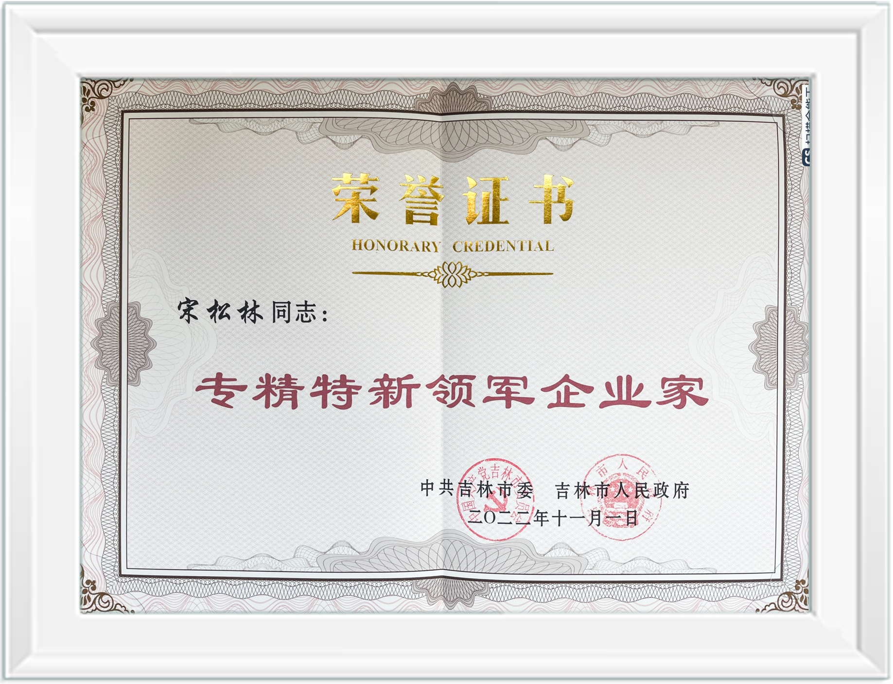 專精特新領(lǐng)軍企業(yè)