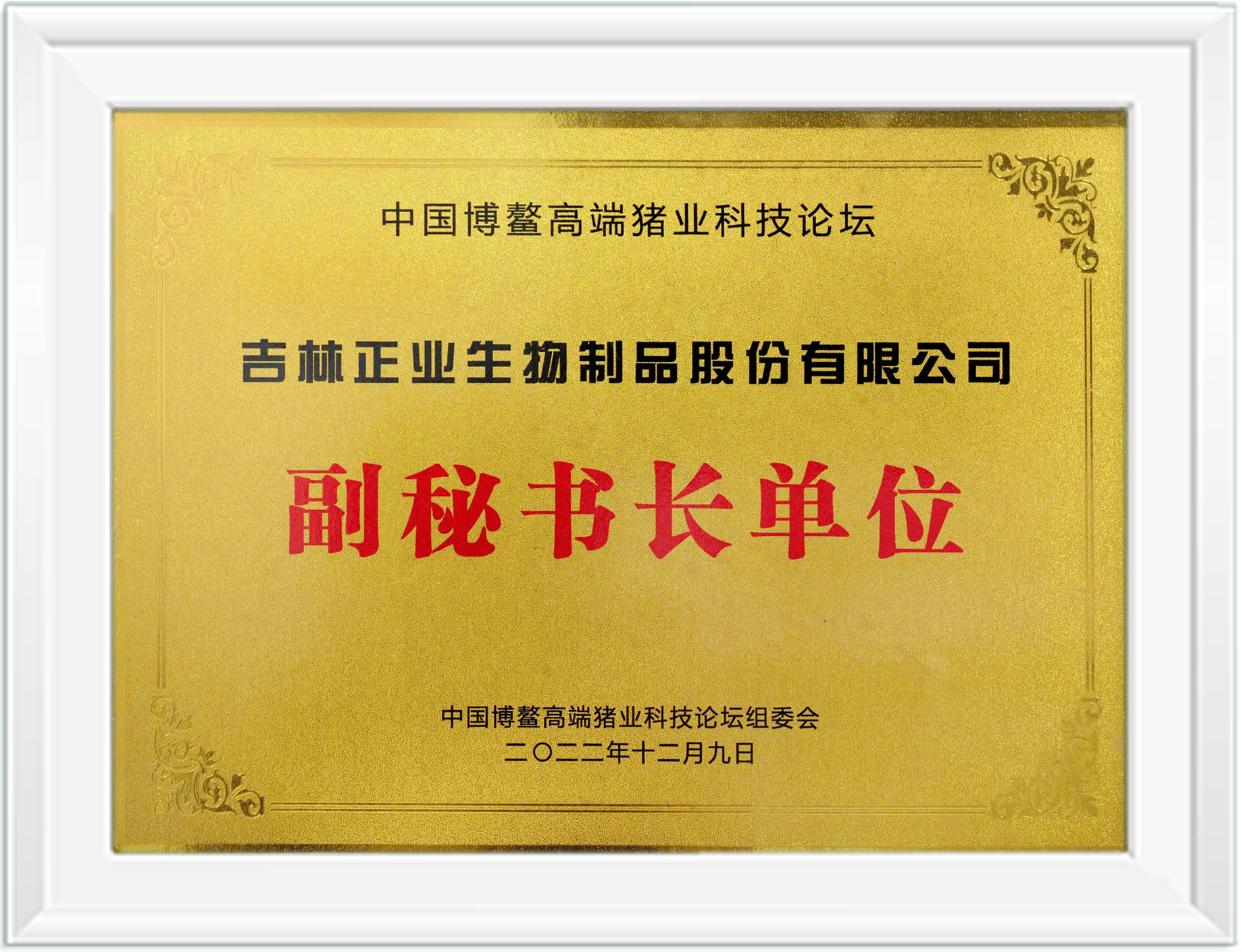 博鰲論壇副秘書長