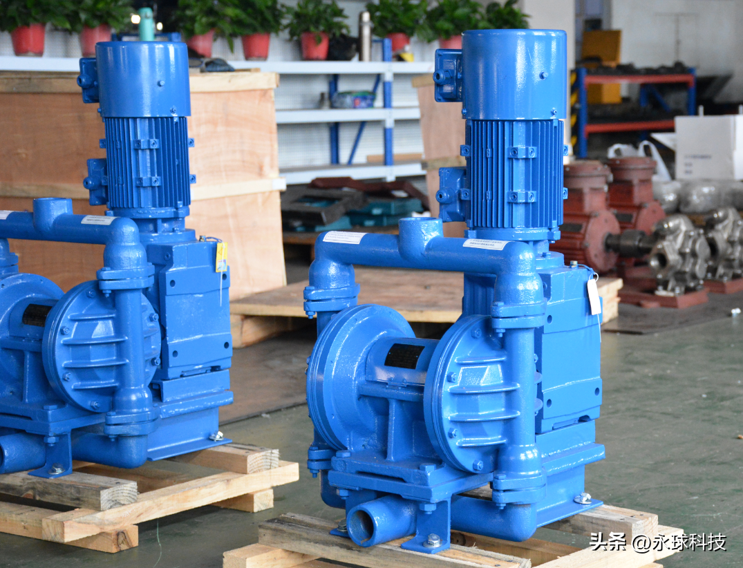 永球 DBLY電動(dòng)隔膜泵